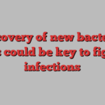 Discovery of new bacterial toxins could be key to fighting infections