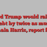 Donald Trump would raise the US debt by twice as much as Kamala Harris, report finds