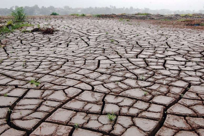 El Nino Drought