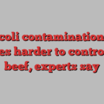 E. coli contamination of veggies harder to control than beef, experts say