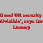 EU and UK security is ‘indivisible’, says David Lammy