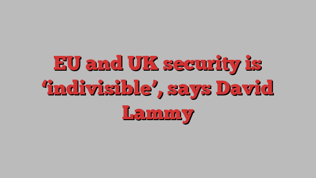 EU and UK security is ‘indivisible’, says David Lammy