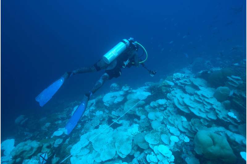 Severe cold-water bleaching and mortality of deep-water reef observed in the Eastern Tropical Pacific