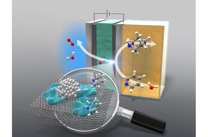 An efficient way to hydrogenate nitrogen-containing aromatic compounds has been developed