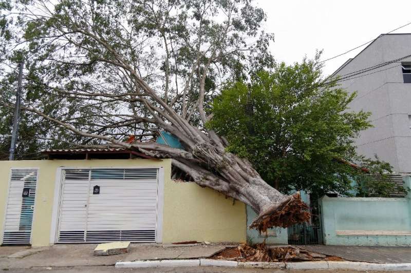 Brazil has in recent months experienced its worst drought since records began which, according to experts, is linked to climate change