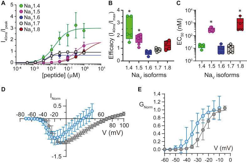 Plugging into pain: Ant toxin causes electrical sting