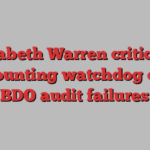 Elizabeth Warren criticises accounting watchdog over BDO audit failures