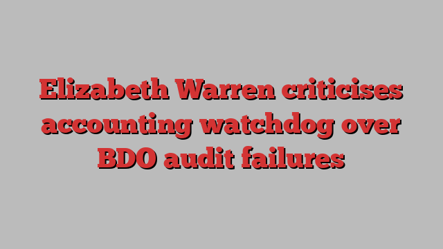 Elizabeth Warren criticises accounting watchdog over BDO audit failures