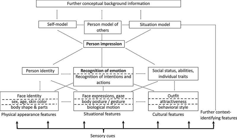 Facial expression not the only factor for recognizing other people's emotions