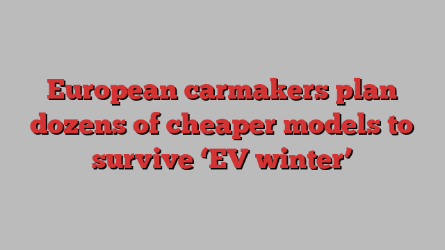 European carmakers plan dozens of cheaper models to survive ‘EV winter’