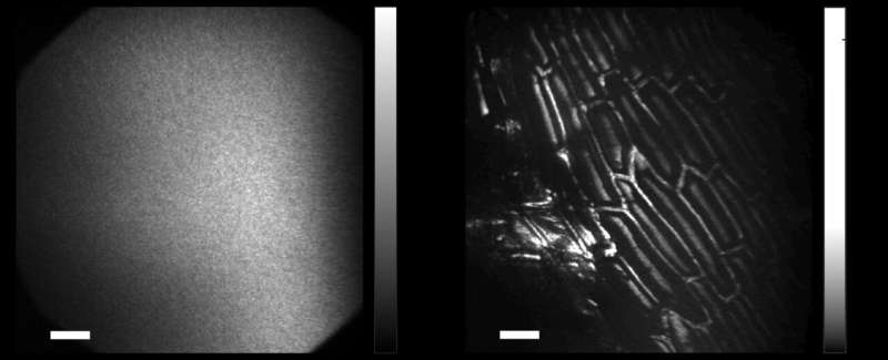 Revolutionizing optical imaging: Breakthrough non-invasive technology for imaging through scattering media