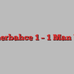 Fenerbahce 1 – 1 Man Utd