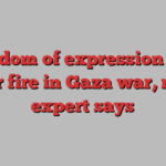 Freedom of expression also under fire in Gaza war, rights expert says