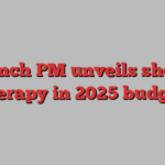 French PM unveils shock therapy in 2025 budget