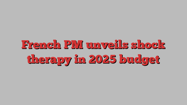 French PM unveils shock therapy in 2025 budget