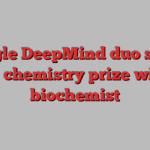 Google DeepMind duo share Nobel chemistry prize with US biochemist