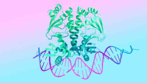 A protein structure