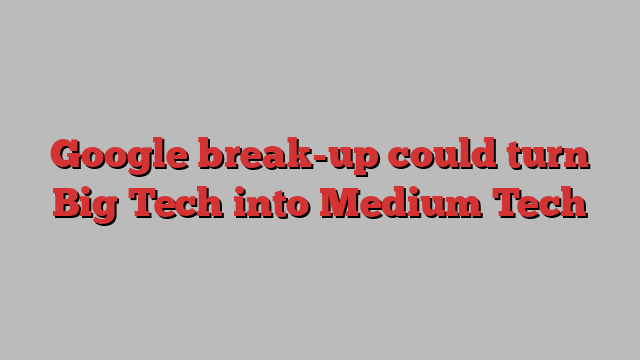 Google break-up could turn Big Tech into Medium Tech