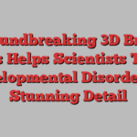 Groundbreaking 3D Brain Atlas Helps Scientists Track Developmental Disorders in Stunning Detail