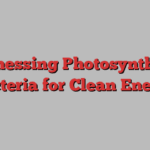 Harnessing Photosynthetic Bacteria for Clean Energy