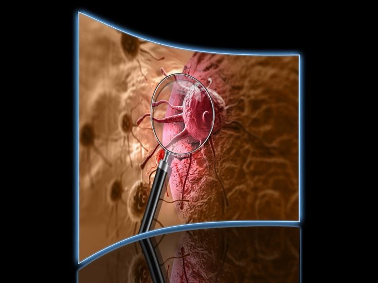 Identifying Cancer Cells