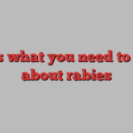 Here’s what you need to know about rabies