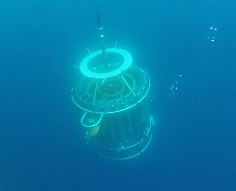 CTD Rosette Phytoplankton Study