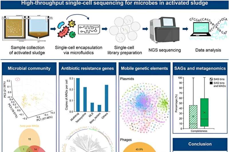 Sludge sequencing surprise: high-throughput single-cell method reveals novel species and genetic diversity