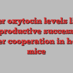 Higher oxytocin levels linked to reproductive success and better cooperation in house mice