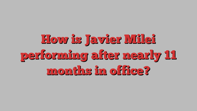 How is Javier Milei performing after nearly 11 months in office?