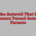 How the Asteroid That Killed Dinosaurs Turned Ants Into Farmers