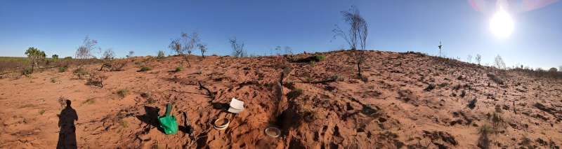 A patchwork of spinifex: How we returned cultural burning to the Great Sandy Desert