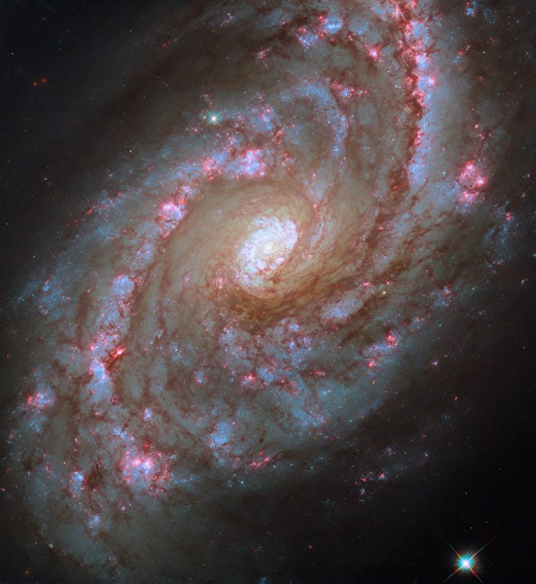 Spiral Galaxy NGC 5248