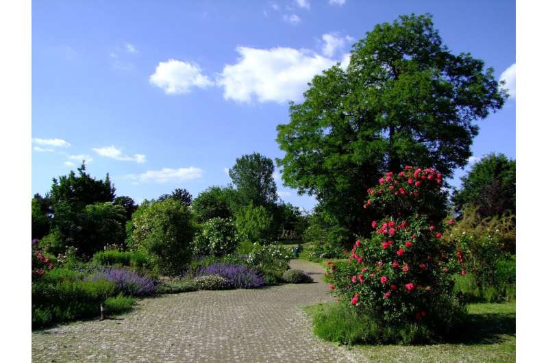 botanical garden