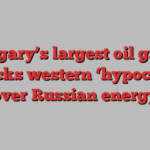 Hungary’s largest oil group attacks western ‘hypocrisy’ over Russian energy