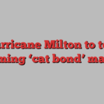 Hurricane Milton to test booming ‘cat bond’ market