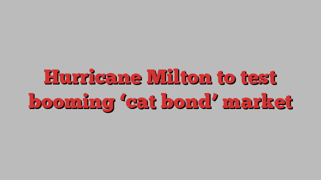 Hurricane Milton to test booming ‘cat bond’ market