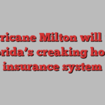 Hurricane Milton will test Florida’s creaking home insurance system