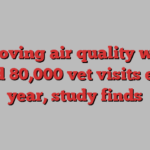 Improving air quality would avoid 80,000 vet visits every year, study finds