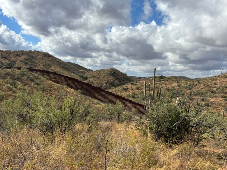 A wall snakes through the desert 