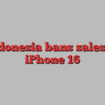 Indonesia bans sales of iPhone 16