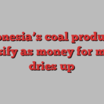 Indonesia’s coal producers diversify as money for mining dries up