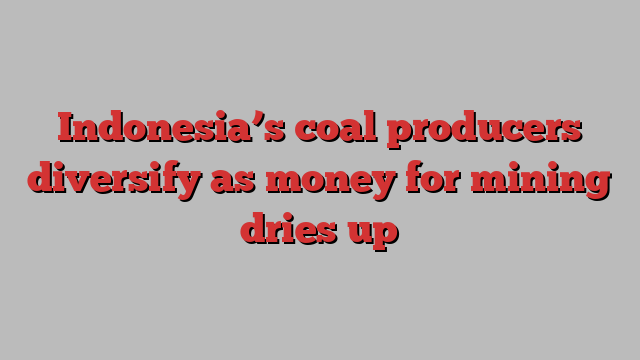 Indonesia’s coal producers diversify as money for mining dries up