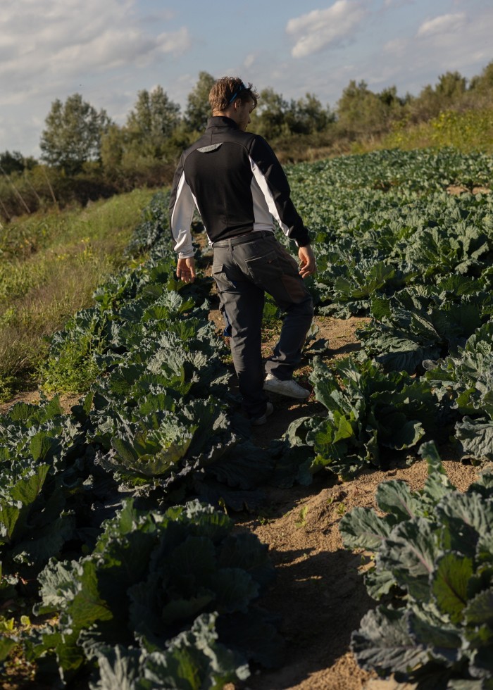 Mario Saviolo, the 24-year-old manager of Venice’s Osti in Orto, tending a field of crops on the farm