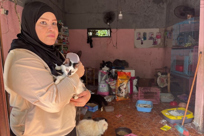 Dareen Tabbara with her cats in Dahiyeh