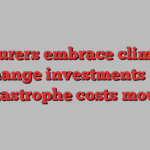 Insurers embrace climate change investments as catastrophe costs mount