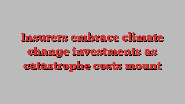 Insurers embrace climate change investments as catastrophe costs mount