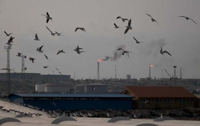 Birds fly over oil refining facilities