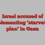 Israel accused of implementing ‘starvation plan’ in Gaza