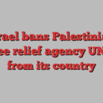 Israel bans Palestinian refugee relief agency UNRWA from its country